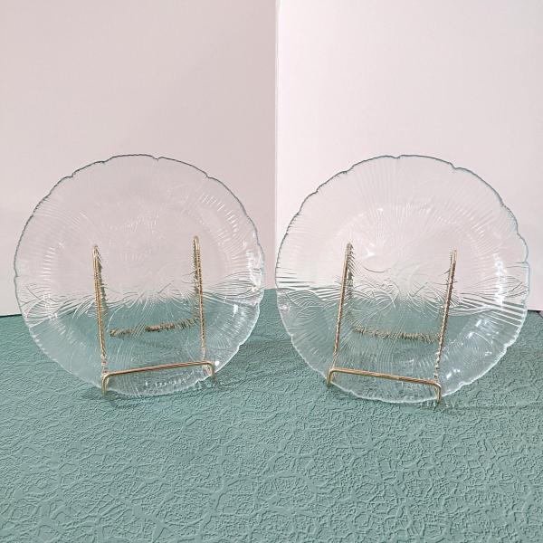 Vintage Arcoroc Canterbury Crocus 7.5 Inch Clear Glass Salad Dessert Plates, Set of 2