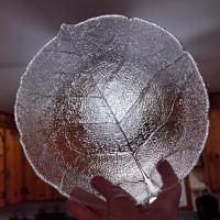 Vintage Arcoroc France Aspen Leaf Clear Glass Coupe Soup Bowl