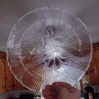 Vintage Arcoroc Canterbury Crocus 10.75 Inch Clear Glass Dinner Plates, Set of 2