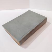 Antique Cooking For Two Book by Janet M. Hill, 1909 First Edition, Vintage Cook Book