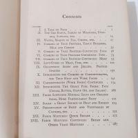 Antique Cooking For Two Book by Janet M. Hill, 1909 First Edition, Vintage Cook Book