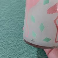 Vintage Flamingo Tom Collins Highball Glasses, Set of Two