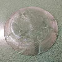 Vintage Arcoroc Fleur 9 Inch Luncheon Salad Plates, Set of 4, Clear Floral Tempered Glass Plates