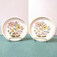 Mikasa Light N Lively Lausanne Salad Dessert Appetizer Sandwich Ceramic Plates, Set of Two