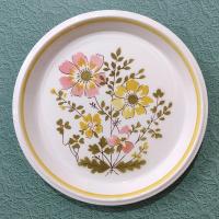 Mikasa Light N Lively Lausanne Salad Dessert Appetizer Sandwich Ceramic Plates, Set of Two