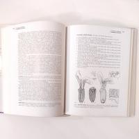 Vintage The Genus Lavandula Book Published 2004, Botanical Magazine Monograph, Tim Upson and Susyn Andrews Book