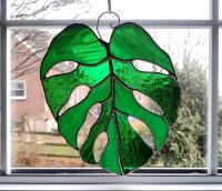 Stained glass monstera leaf suncatcher using alternating green cathedral and green opalescent art glass.  Measures seven inches by eight and half inches and comes with a wire loop and suction cup hanger for hanging.