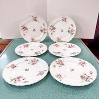 Vintage Canonsburg Moss Rose Luncheon Dinner Plates, Set of 6, Pink Floral MCM Plates
