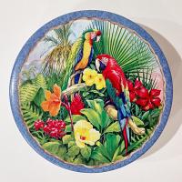 Vintage 1997 Indecco Round Parrot Tin, Colorful Bird Metal Storage Container