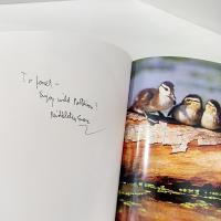 Vintage Signed First Edition The Miracle Pond Hard Back Coffee Table Book, Middleton Evans Patterson Park Baltimore Nature Photography Book