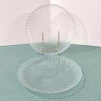Vintage Arcoroc Seabreeze Clear Glass Dinner Plates, Set of Two