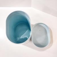 Aqua Blue Treats Tin with Handle Lid, Oval Pet Treat Storage Container