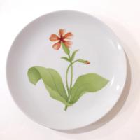 Vintage Toscany Tuileries Salad Luncheon Plates, Set of Five, Floral Decorative Plates
