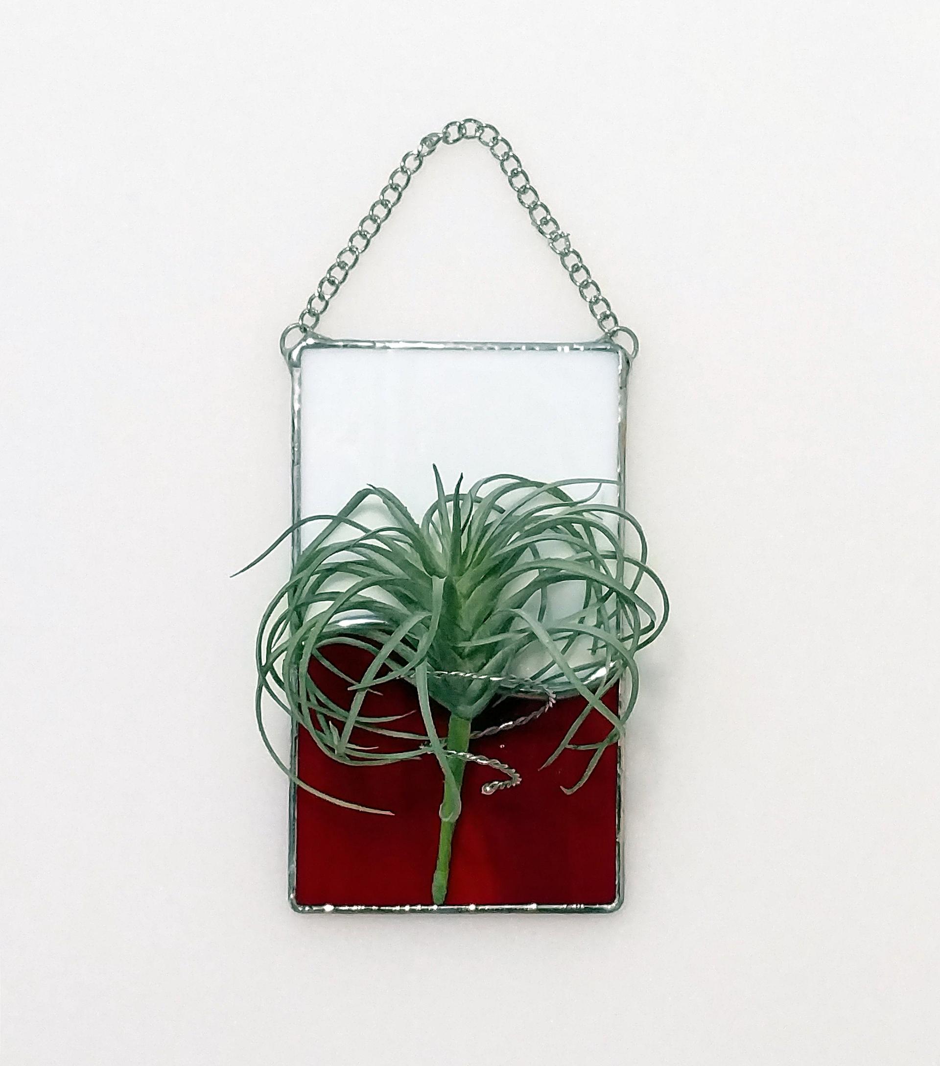 Stained Glass Air Plant Holder, Custom Colors Available