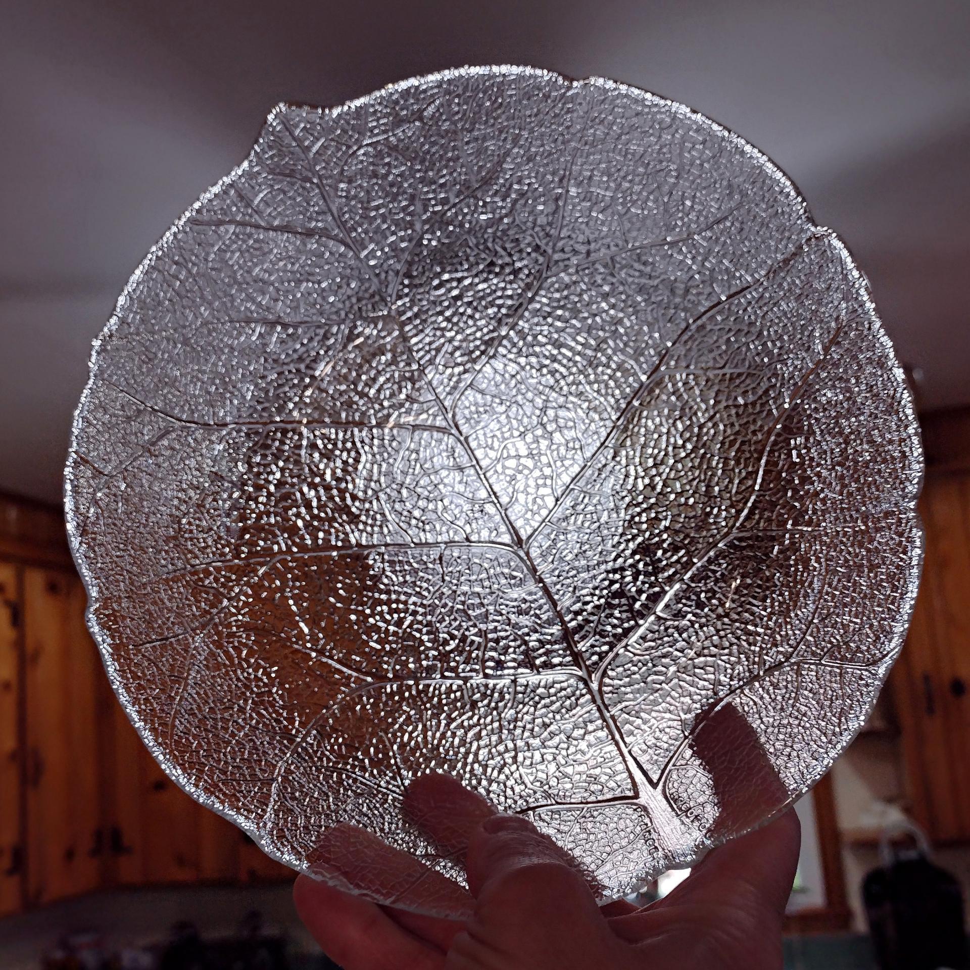 Vintage Arcoroc France Aspen Leaf Clear Glass Coupe Soup Bowl