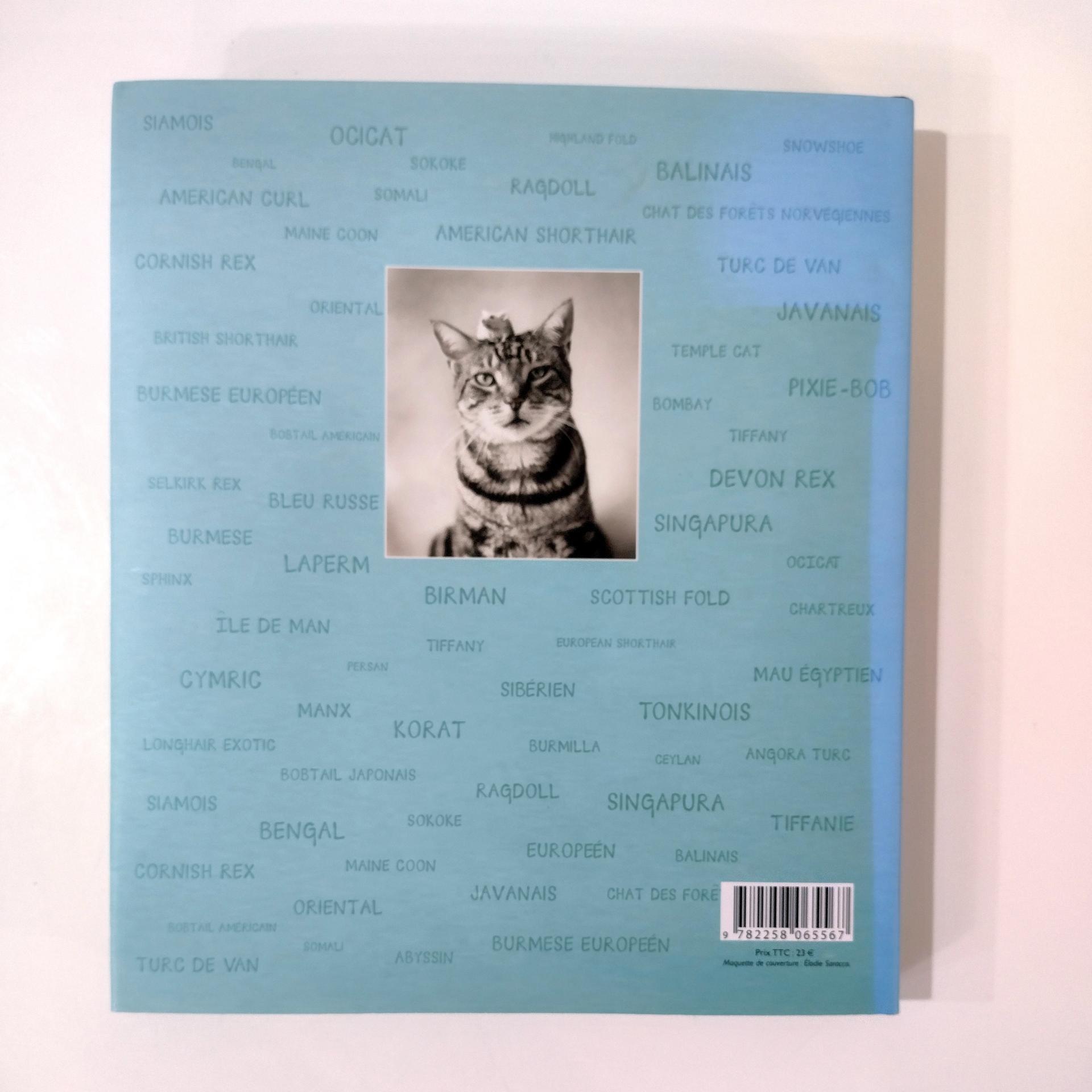 Vintage Cats Photography Art Book, Gueules de Chats by Rachael Hale, French Cat Coffee Table Book