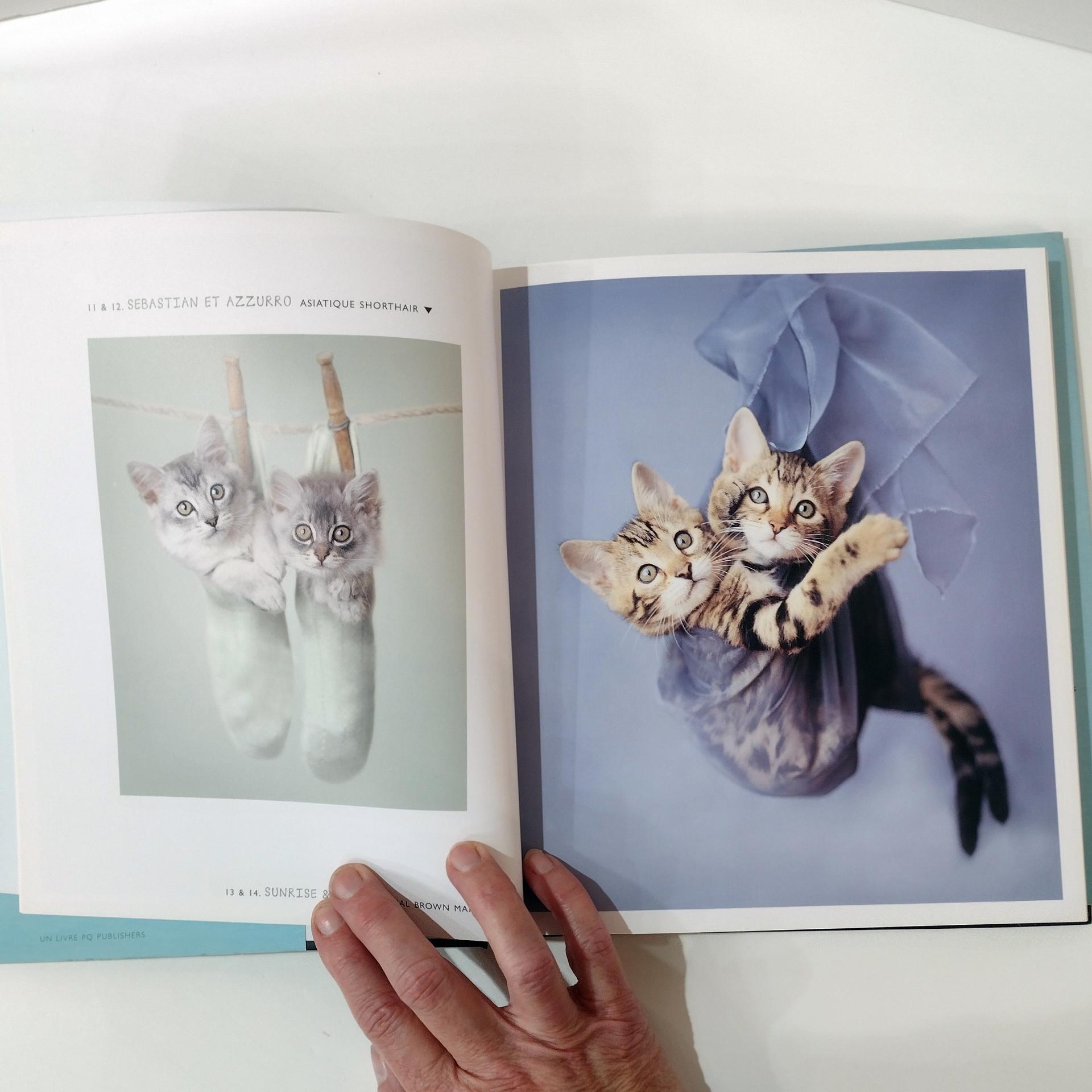 Vintage Cats Photography Art Book, Gueules de Chats by Rachael Hale, French Cat Coffee Table Book