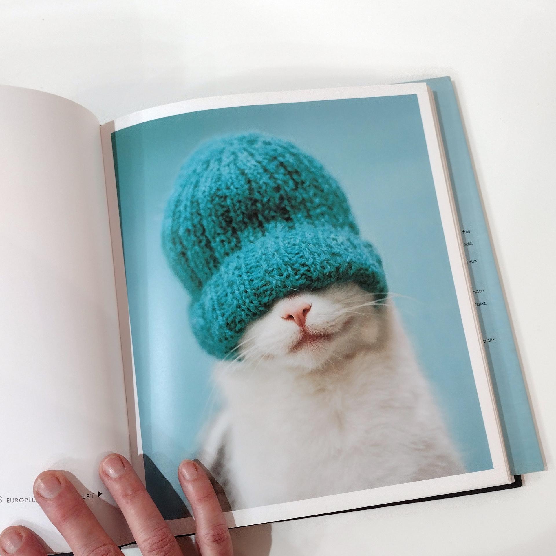 Vintage Cats Photography Art Book, Gueules de Chats by Rachael Hale, French Cat Coffee Table Book