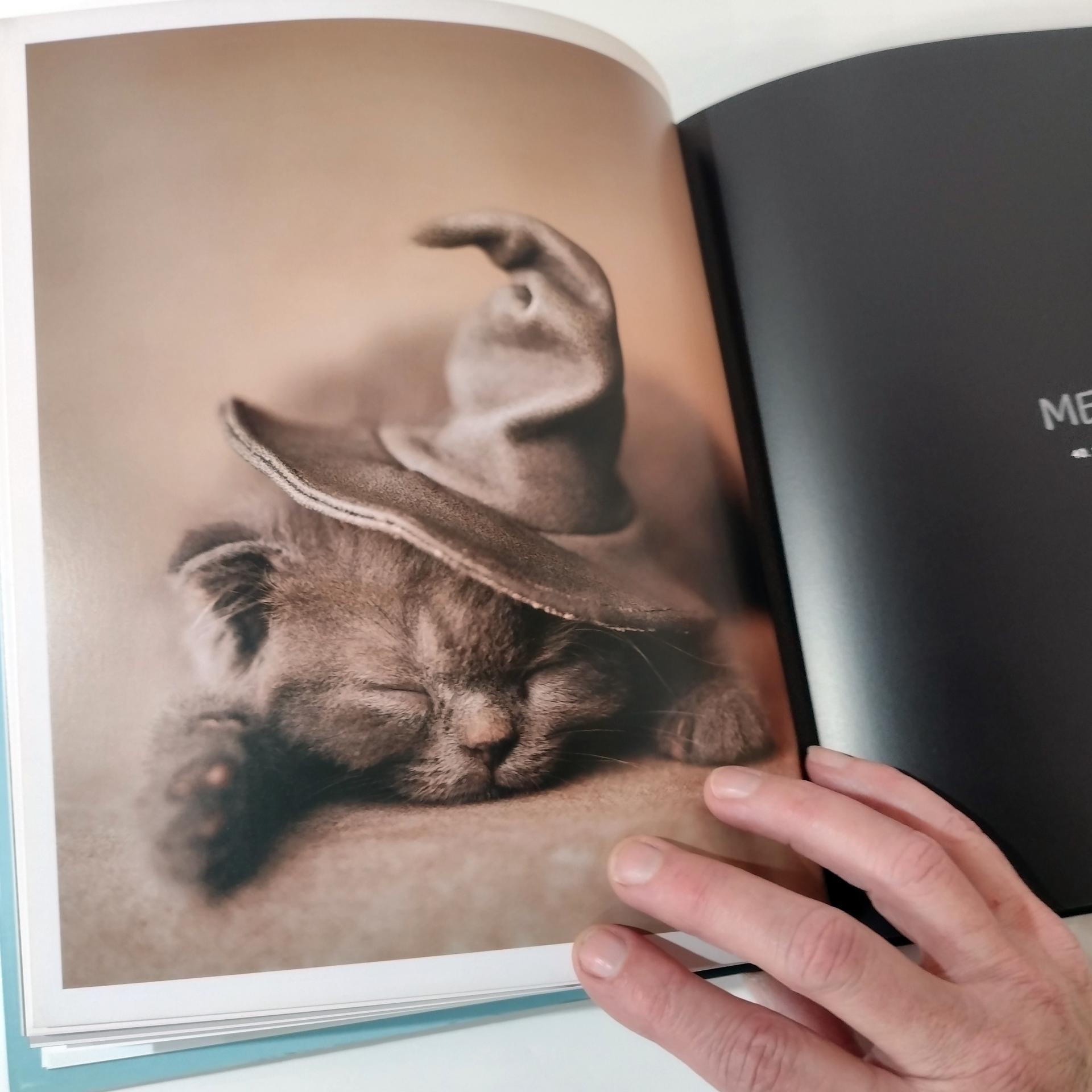 Vintage Cats Photography Art Book, Gueules de Chats by Rachael Hale, French Cat Coffee Table Book