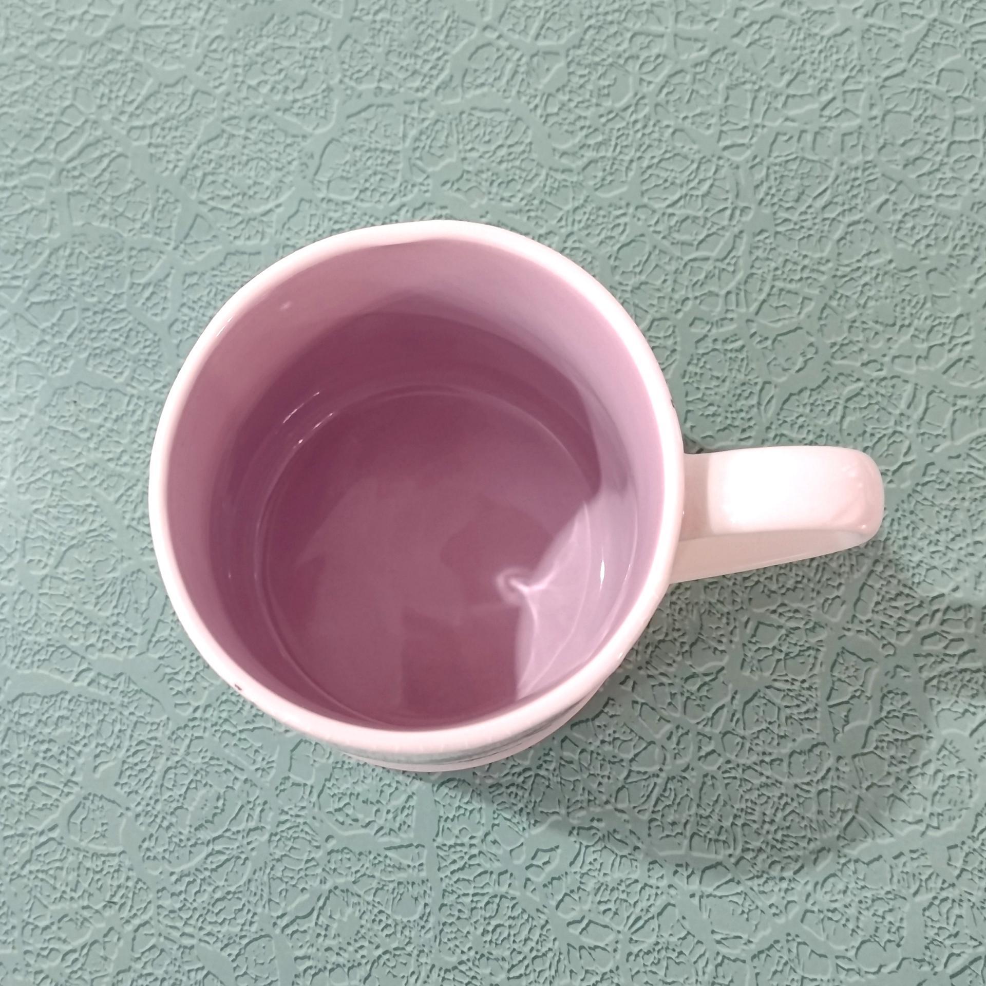 Vintage Dragonfly Ceramic Coffee Tea Mug, Seeds and Sunshine Oversized 20 Ounce Mug