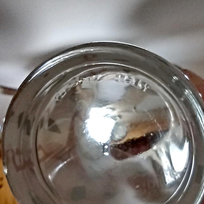 Vintage Flamingo Tom Collins Highball Glasses, Set of Two