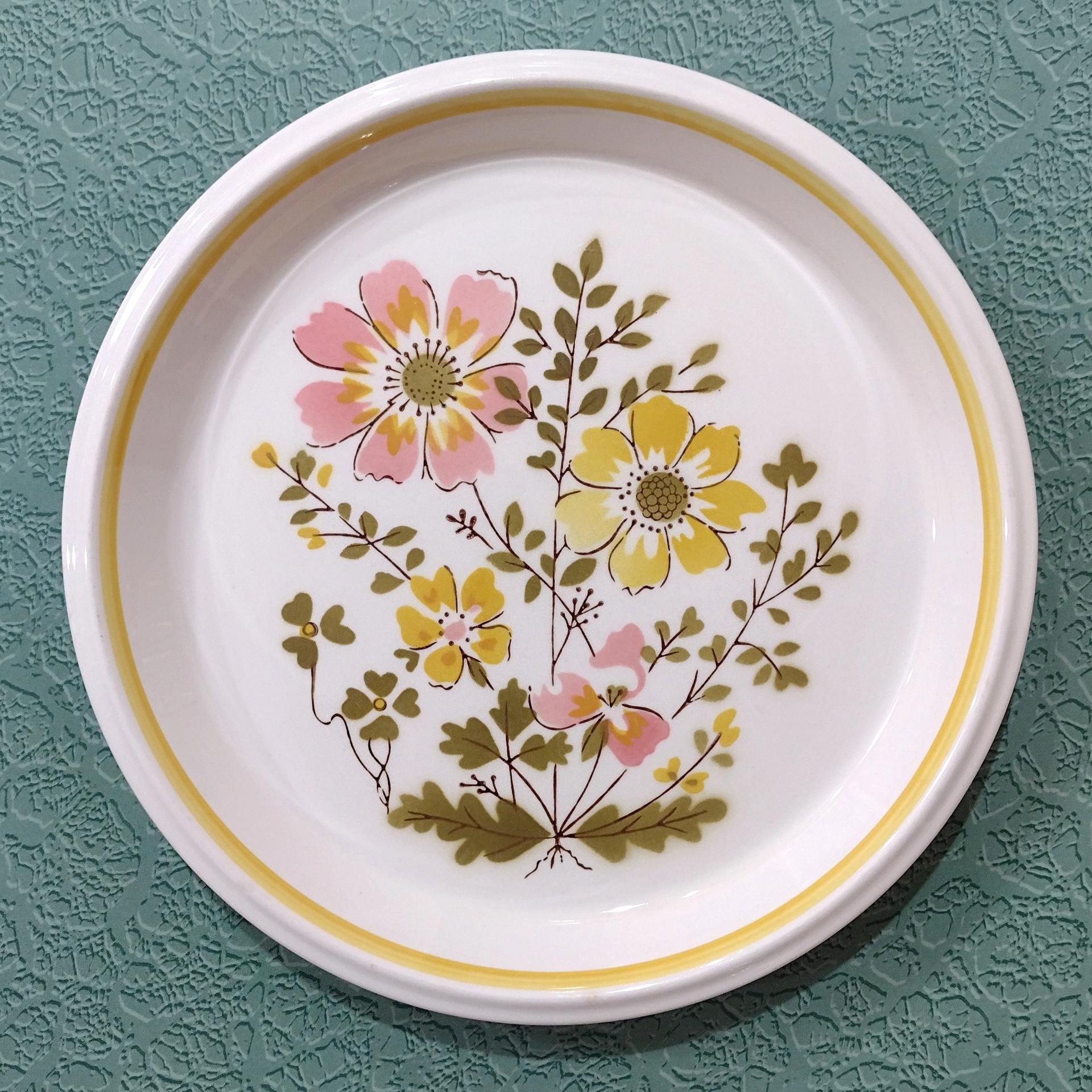 Mikasa Light N Lively Lausanne Salad Dessert Appetizer Sandwich Ceramic Plates, Set of Two