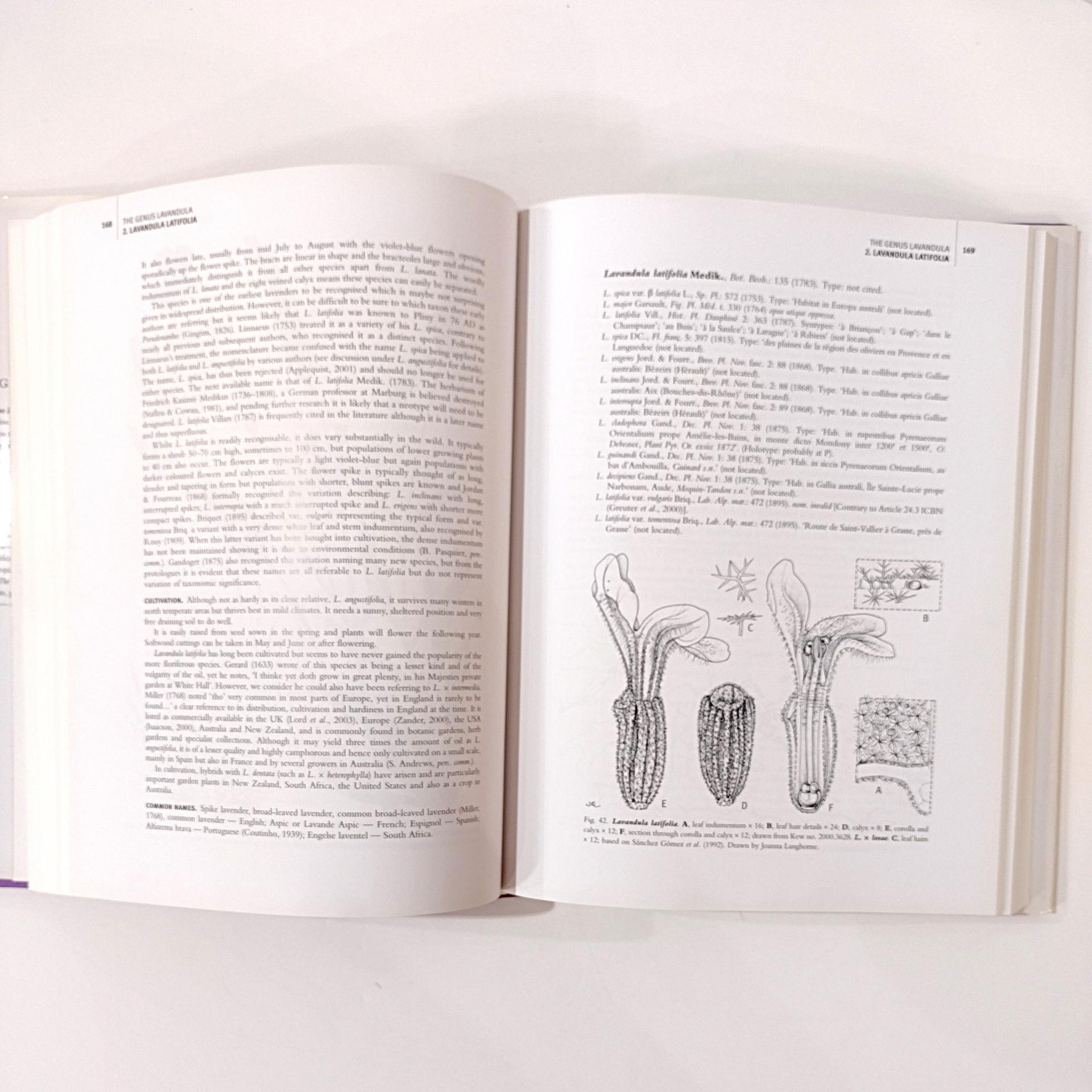 Vintage The Genus Lavandula Book Published 2004, Botanical Magazine Monograph, Tim Upson and Susyn Andrews Book