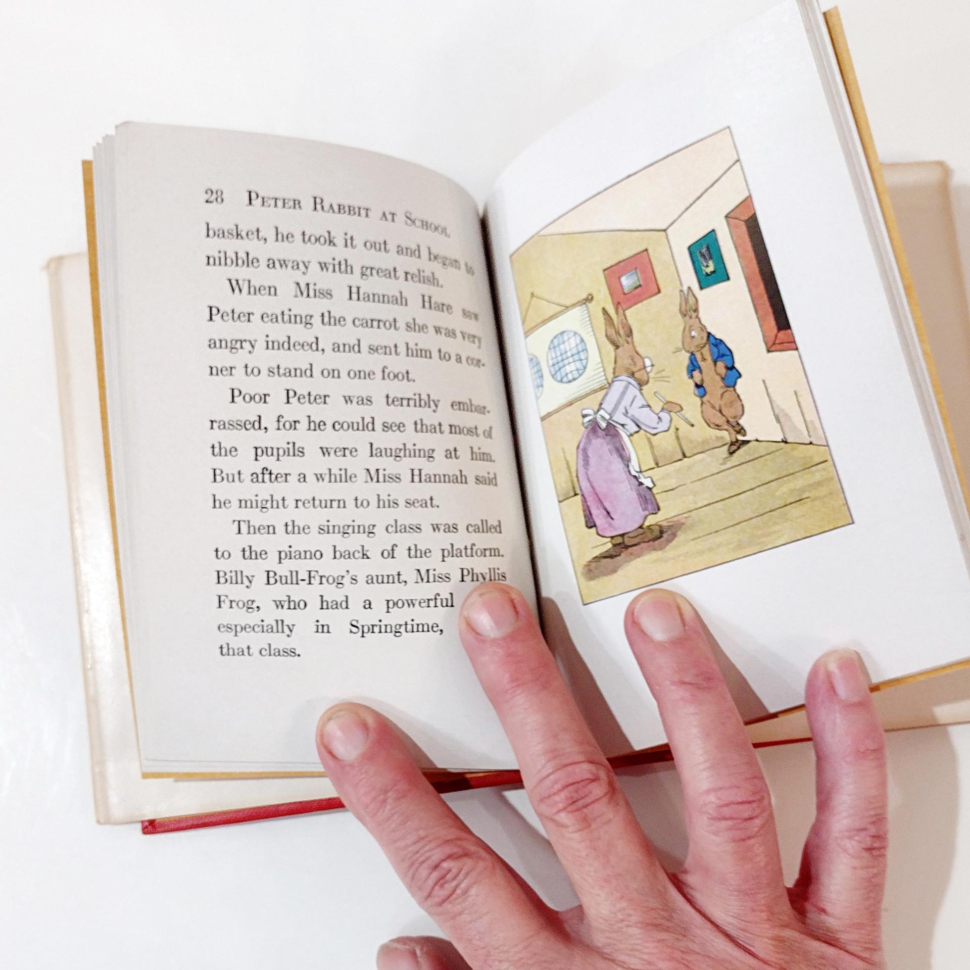 Vintage When Peter Rabbit Went to School Children's Book, 1935 Edition by The Platt and Munk Company Inc.