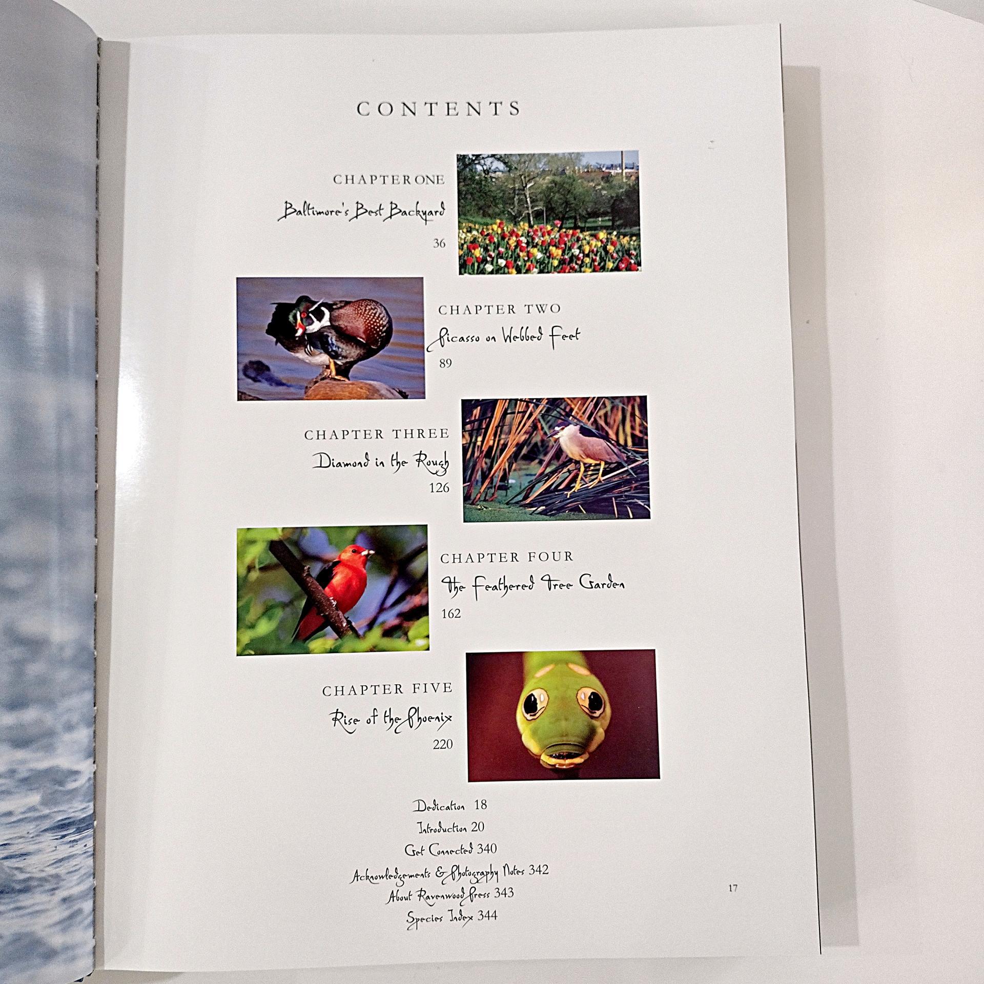 Vintage Signed First Edition The Miracle Pond Hard Back Coffee Table Book, Middleton Evans Patterson Park Baltimore Nature Photography Book