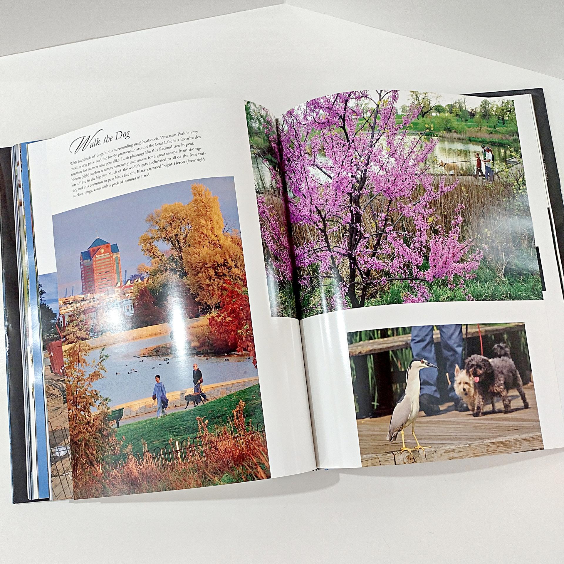 Vintage Signed First Edition The Miracle Pond Hard Back Coffee Table Book, Middleton Evans Patterson Park Baltimore Nature Photography Book