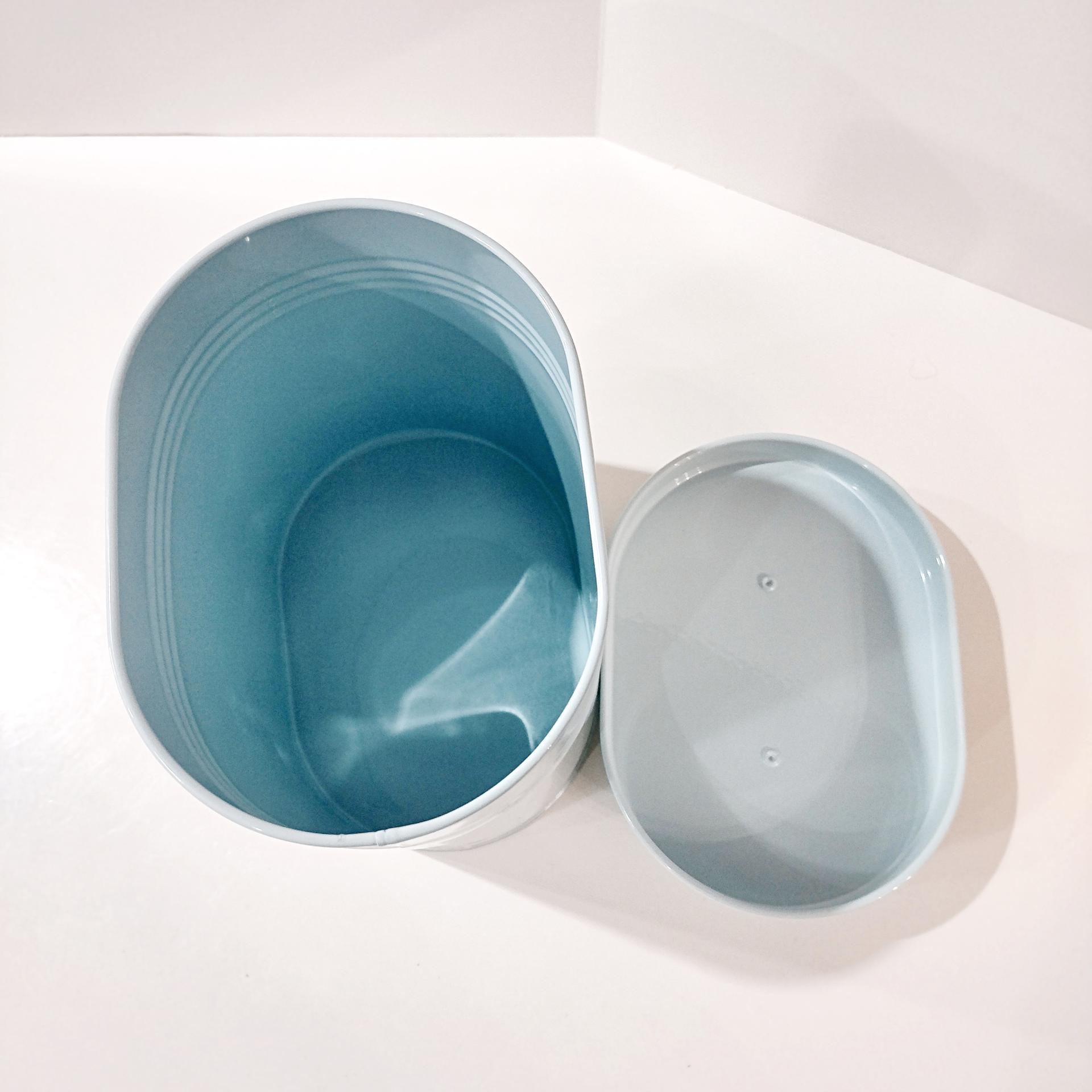 Aqua Blue Treats Tin with Handle Lid, Oval Pet Treat Storage Container