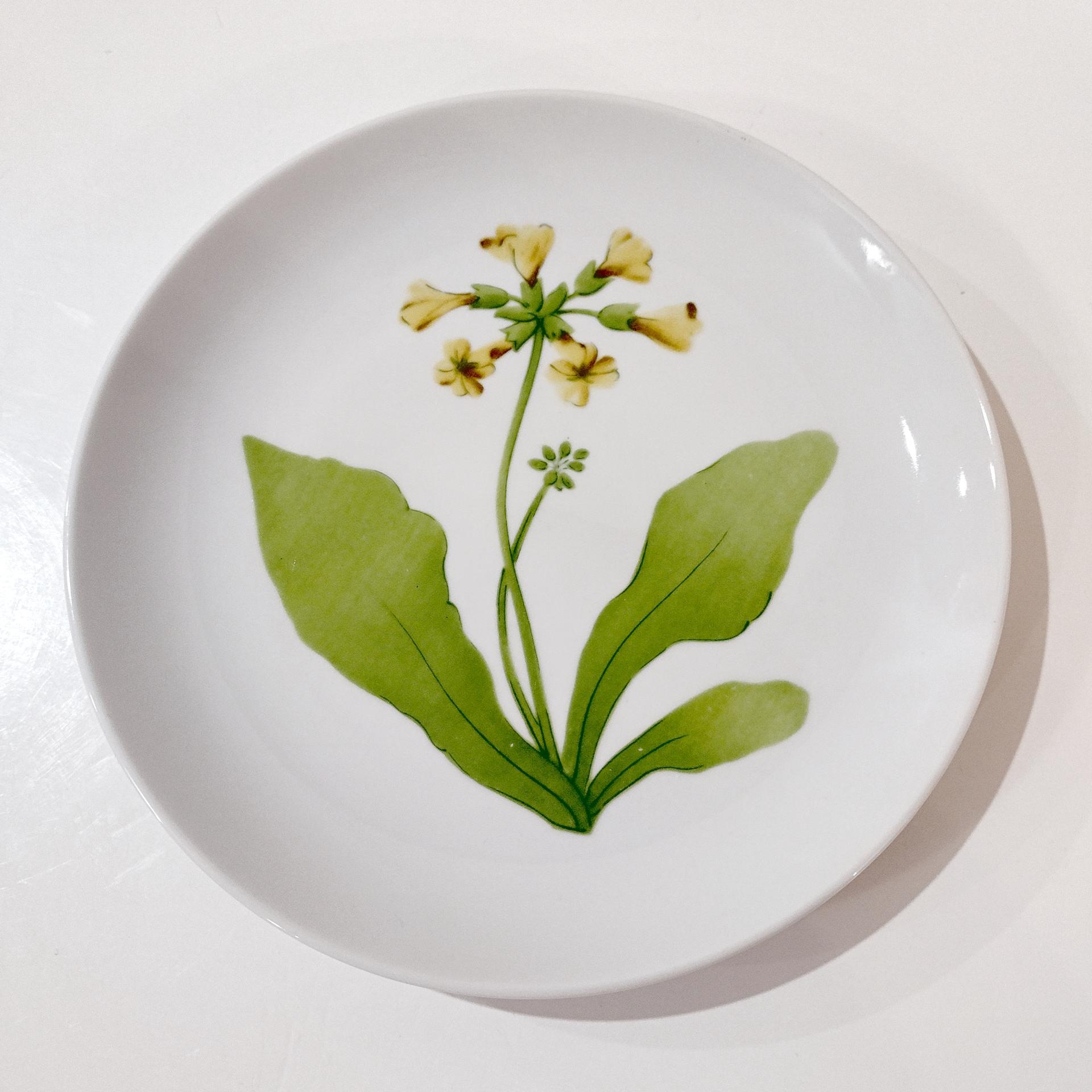 Vintage Toscany Tuileries Salad Luncheon Plates, Set of Five, Floral Decorative Plates