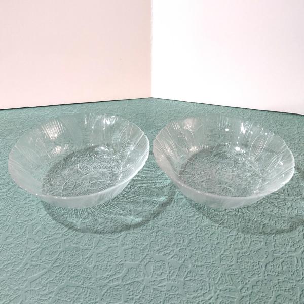 Vintage Arcoroc Canterbury Crocus Clear Glass Cereal Bowls, Set of 2