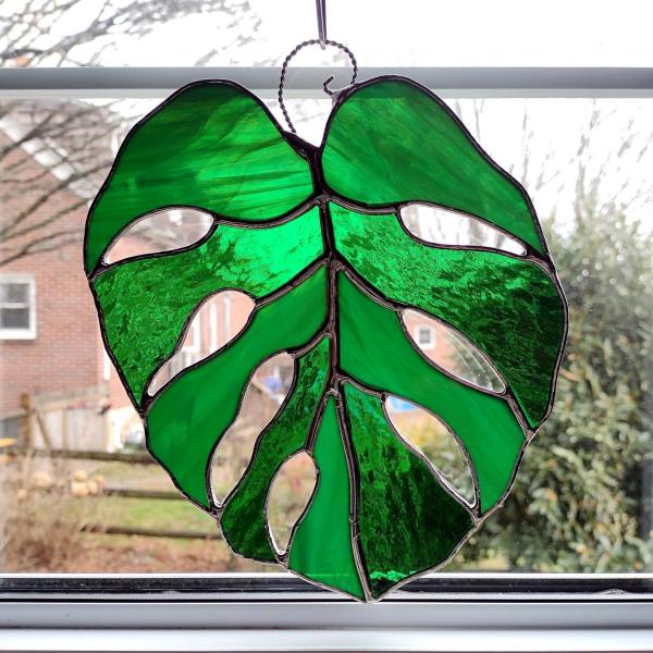 Stained glass monstera leaf suncatcher using alternating green cathedral and green opalescent art glass.  Measures seven inches by eight and half inches and comes with a wire loop and suction cup hanger for hanging.
