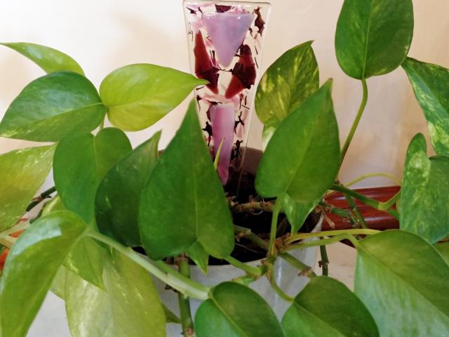 Fused Glass Plant Stake, Pink and Purple Abstract