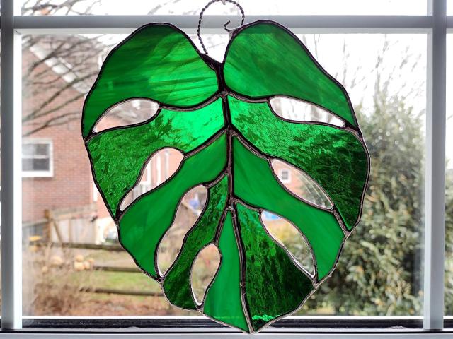 Stained glass monstera leaf suncatcher using alternating green cathedral and green opalescent art glass.  Measures seven inches by eight and half inches and comes with a wire loop and suction cup hanger for hanging.